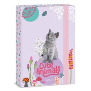Cute Animals Kitten füzetbox A4  