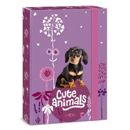 Cute Animals Puppy füzetbox A4 