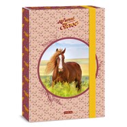 My sweet horse füzetbox A4  
