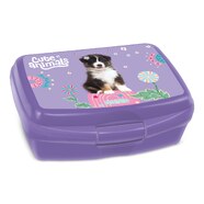 Cute Animals Aussie uzsidoboz 